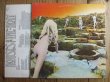 画像3: Led Zeppelin / Houses Of The Holy (3)