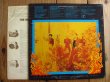 画像2: The Meters / Fire On The Bayou (2)
