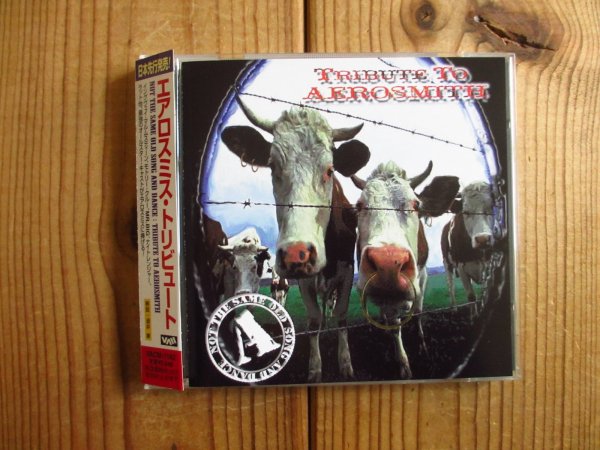 画像1: V.A. / エアロスミス・トリビュート = Tribute To Aerosmith: Not The Same Old Song And Dance (1)