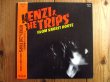 画像1: Kenzi & The Trips / From Rabbit House (1)