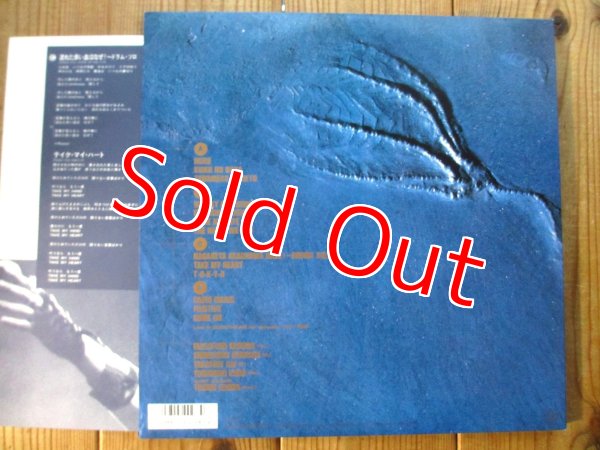 画像3: Earthshaker / Live In 武道館 (3)