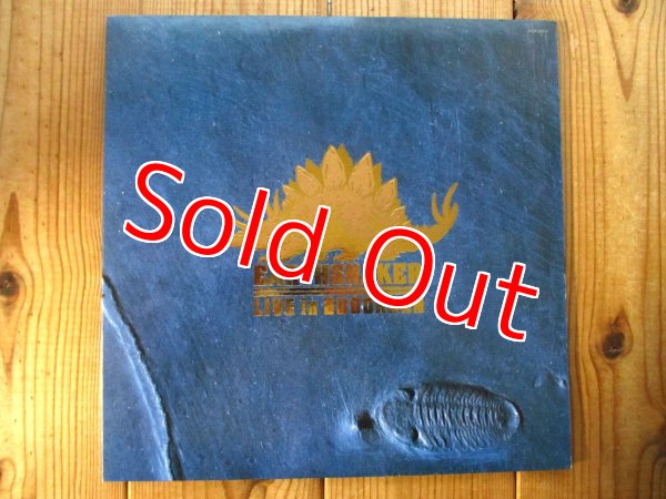 画像1: Earthshaker / Live In 武道館 (1)