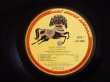 画像4: George Harrison / Thirty Three & 1/3 (4)