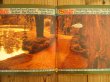 画像2: George Harrison / Dark Horse (2)