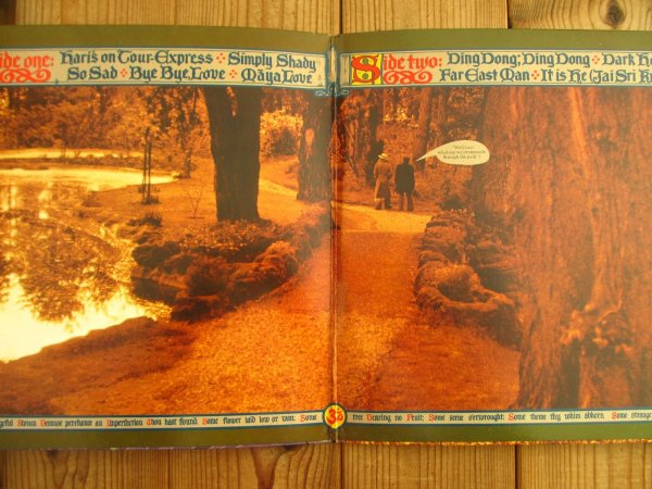 画像2: George Harrison / Dark Horse (2)