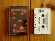画像1: Grateful Dead / In The Dark (1)