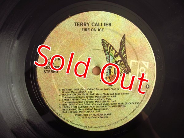 画像3: Terry Callier / Fire On Ice (3)