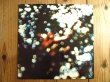 画像1: Pink Floyd / Obscured By Clouds (1)