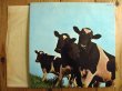 画像3: Pink Floyd / Atom Heart Mother (3)