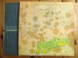 画像3: Steely Dan / Can't Buy A Thrill (3)