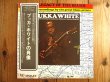 画像1: Bukka White / ブッカ・ホワイトの肖像 (1)
