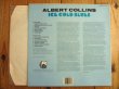 画像2: Albert Collins / Ice Cold Blues (2)