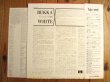 画像2: Bukka White / ブッカ・ホワイトの肖像 (2)