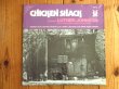 画像1: Luther Johnson With The Muddy Waters Blues Band / Chicken Shack (1)