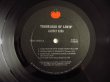 画像3: Albert King / Truckload Of Lovin' (3)