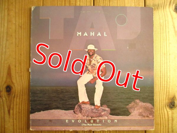 画像1: Taj Mahal / Evolution (The Most Recent) (1)