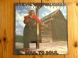 画像1: Stevie Ray Vaughan And Double Trouble / Soul To Soul (1)