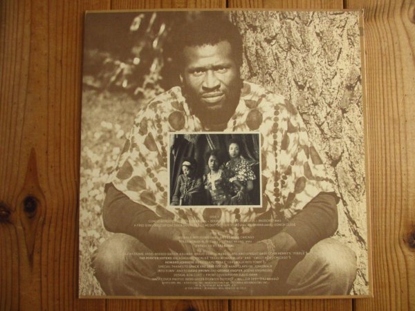画像2: Taj Mahal / Recycling The Blues & Other Related Stuff (2)