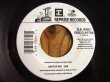 画像2: B.B. King & Eric Clapton / Worried Life Blues (2)