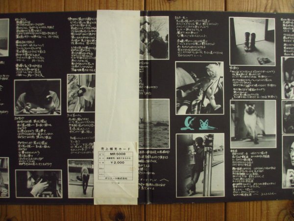 画像2: 遠藤賢司 / 満足できるかな (2)
