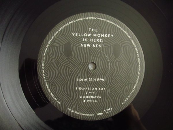 画像5: The Yellow Monkey ‎/ The Yellow Monkey Is Here. New Best (5)