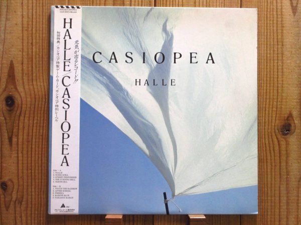 画像1: Casiopea /  Halle  (1)