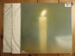 画像3: Sonic Youth / Daydream Nation (3)