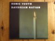 画像1: Sonic Youth / Daydream Nation (1)