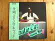 画像1: 今剛 / Studio Cat (1)
