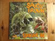 画像1: Savoy Brown / Looking In (1)