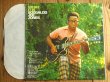 画像2: Ivan Boogaloo Joe Jones / What It Is (2)