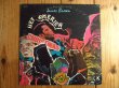 画像1: James Brown / Hey America (1)