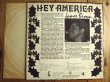 画像2: James Brown / Hey America (2)