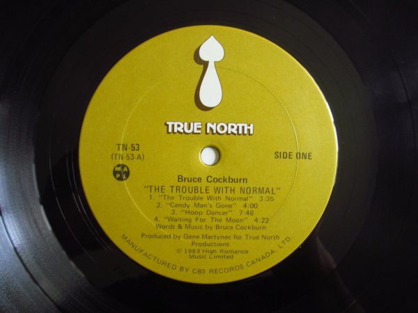 画像3: Bruce Cockburn / The Trouble With Norma (3)