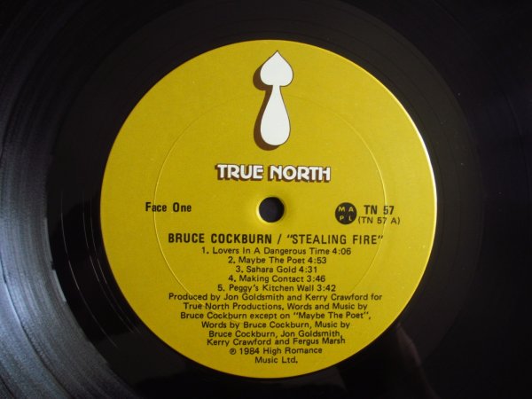 画像3: Bruce Cockburn / Stealing Fire (3)