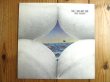 画像1: Bruce Cockburn / Salt, Sun And Time (1)