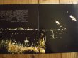 画像2: Bruce Cockburn / Night Vision (2)