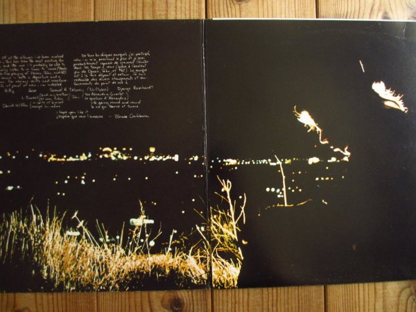 画像2: Bruce Cockburn / Night Vision (2)