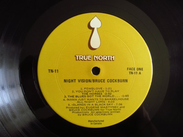 画像4: Bruce Cockburn / Night Vision (4)
