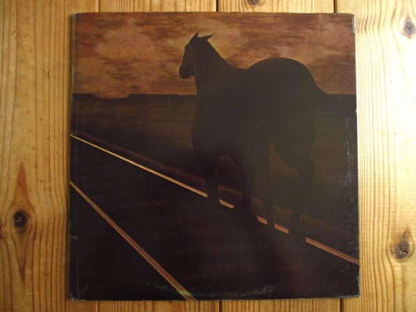画像1: Bruce Cockburn / Night Vision (1)