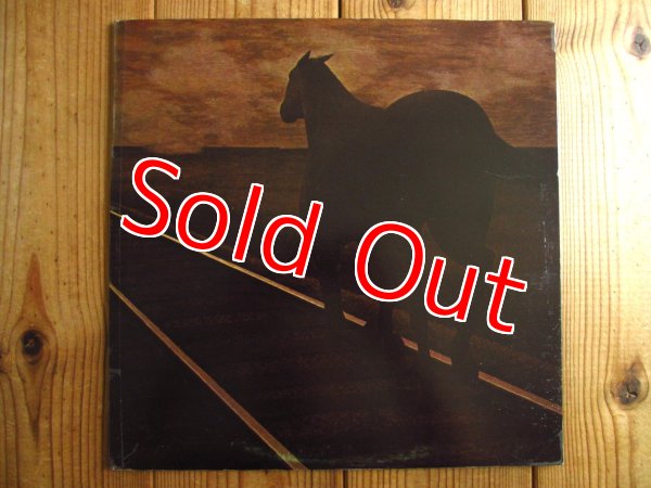 画像1: Bruce Cockburn / Night Vision (1)