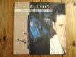 画像1: Brian Wilson / Brian Wilson (1)