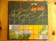 画像1: Larry Carlton / Larry Carlton (1)