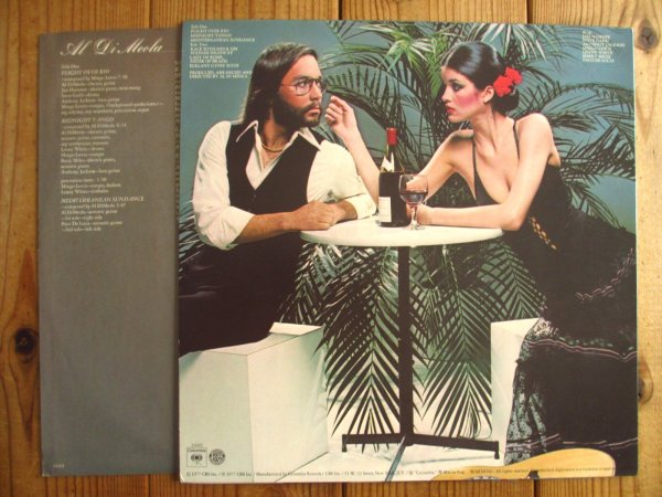 画像2: Al Di Meola / Elegant Gypsy (2)