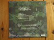 画像2: 初LP化！パコデルシア1998年発表の名作がアナログ盤で入荷！■Paco De Lucia / Luzia (2)