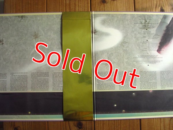 画像2: Lee Ritenour / Sugar Loaf Express Featuring Lee Ritenour (2)