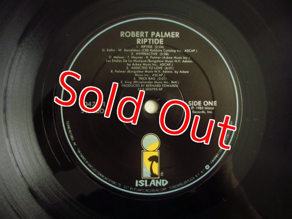 画像3: Robert Palmer / Riptide (3)