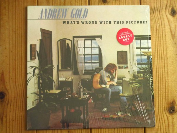 画像1: Andrew Gold / What's Wrong With This Picture? (1)