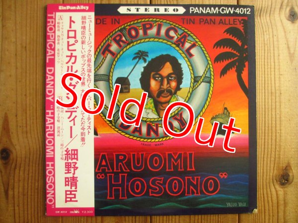 画像1: 細野晴臣 / トロピカル・ダンディー (1)