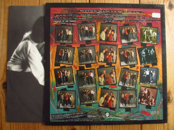 画像2: Bonnie Raitt / Green Light (2)